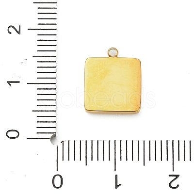 304 Stainless Steel Enamel Charms LS-STAS-F331-01B-G-1
