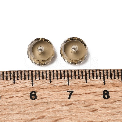 K9 Glass SWAR-F078-4x8mm-21-1