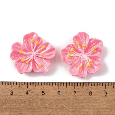 Resin Cabochons OACR-U002-03A-1