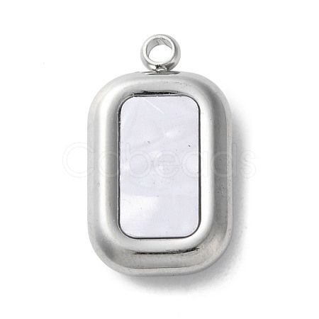 304 Stainless Steel Acrylic Pendants STAS-M091-02C-P-1