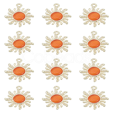 12Pcs Golden Alloy Pendants FIND-LP0002-23-1