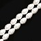 Shell Pearl Beads Strands, Polished, Oval, Snow, 16x12mm, Hole: 1mm, about 25pcs/strand, 15.75 inch(40cm)