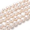 Natural Cultured Freshwater Pearl Beads Strands,  Two Sides Polished, White, 10x11~12mm, Hole: 0.8mm, about 33pcs/strand, 14.17 inch(36cm)