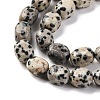 Natural Dalmatian Jasper Beads Strands G-G146-A24-01-4