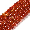 Natural Carnelian Beads Strands X-G-G390-8mm-03-1
