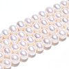 Natural Cultured Freshwater Pearl Beads Strands PEAR-N016-06C-2