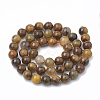 Natural Pietersite Beads Strands G-S333-12mm-010-3