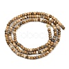 Natural Picture Jasper Beads Strands G-P572-A01-01-3