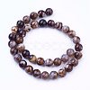 Natural Agate Bead Strands X-G-P289-02D-8mm-2