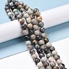 Natural Polychrome Jasper/Picasso Stone/Picasso Jasper Bead Strands G-E571-17A-2