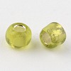 8/0 Glass Seed Beads X-SEED-A005-3mm-24-2