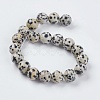 Natural Dalmation Jasper Beads Strands X-G-G515-10mm-06-2