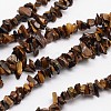 Chips Natural Tiger Eye Beads Strands G-N0164-66-1