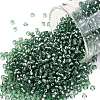TOHO 11/0 Round Beads X-SEED-TR11-2202-1