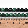 Natural Fuchsite Beads Strands G-T140-20A-5