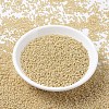 MIYUKI Round Rocailles Beads SEED-G007-RR0488-2
