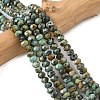Natural African Turquoise(Jasper) Bead Strands G-D344-A08-1