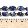 Natural Lapis Lazuli Beads Strands G-P541-A01-05-4