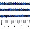 Natural Lapis Lazuli Beads Strands G-L587-B04-02-4