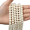 Eco-Friendly Dyed Glass Pearl Round Beads Strands HY-A002-10mm-RB011-4