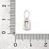 925 Sterling Silver Cubic Zirconia Charms STER-NH0014-01P-08-3