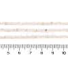 Natural Freshwater Shell Beads Strands SHEL-P017-01A-02-4