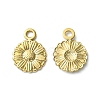 304 Stainless Steel Charms STAS-L269-056G-1