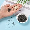 8/0 Glass Seed Beads SEED-A014-3mm-137B-5