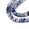 Natural Blue Spot Jasper Beads Strands G-N342-113-3