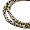 Natural Dalmatian Jasper Beads Strands G-E612-A01-B-3