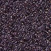 MIYUKI Round Rocailles Beads X-SEED-G007-RR3206-3