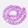 Freshwater Shell Beads Strands SHEL-S276-51-3