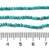 Natural Howlite Beads Strands G-H025-03A-02-5