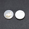 Shell Cabochons SSHEL-E568-B04-1
