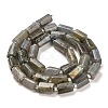Natural Labradorite Beads Strands G-G068-A10-01-3