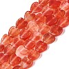 Transparent Glass Beads Strands GLAA-Q106-06A-05-1