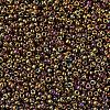 MIYUKI Round Rocailles Beads X-SEED-G007-RR0462-3