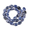 Natural Blue Spot Jasper Beads Strands G-M206-40-2