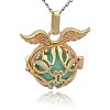 Golden Tone Brass Cage Pendants KK-J213-11G-2