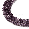 Transparent Glass Beads Strands GLAA-H027-01A-4