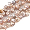 Natural Cultured Freshwater Pearl Beads Strands PEAR-A006-19A-X-2