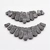Natural Larvikite Beads Strands G-P298-J01-3