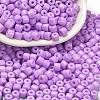 Baking Paint Pearlized Glass Seed Beads SEED-C001-04A-12-1