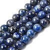 Natural Lapis Lazuli Beads Strands G-G344-A09-8mm-2