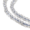 Natural Labradorite Beads Strands G-RM241221-A10-3