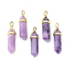 Natural Lepidolite/Purple Mica Stone Pointed Pendants G-G025-01G-30-1