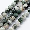 Natural Tree Agate Beads Strands G-I199-03-6mm-1