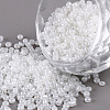 12/0 Glass Seed Beads SEED-US0003-2mm-141-1