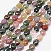 Natural Indian Agate Beads Strands G-N0173-02-6x8mm-1