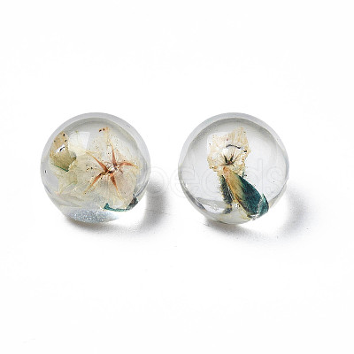 Translucent Acrylic Cabochons TACR-N006-13D-1
